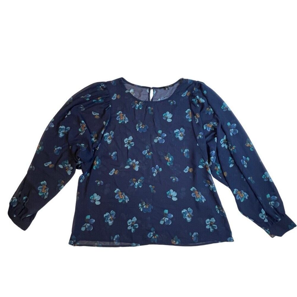 Zac & Rachel Blouse Womens XL Blue Fairy Floral Sheer Balloon Sleeve Boho Shirt